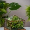 Art Decco Copper And Glass Terrariums -Outdoor Garden Care Shop 8609210 0318 tif