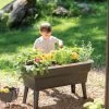 Calipso 3-in-1 Kids Gardening Self-Watering Planter Kit