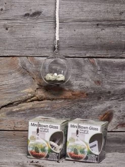 Mini Blown-Glass Hanging Terrarium, Set Of 2 9 Mini Blown-Glass Hanging Terrarium, Set Of 2 -Outdoor Garden Care Shop 8609218 01v