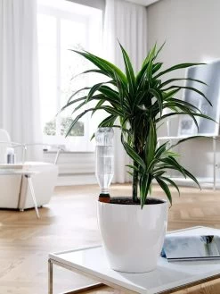 Hydro Wine Container Watering System, Set Of 4 12 Hydro Wine Container Watering System, Set Of 4 -Outdoor Garden Care Shop 8609224 02V tif