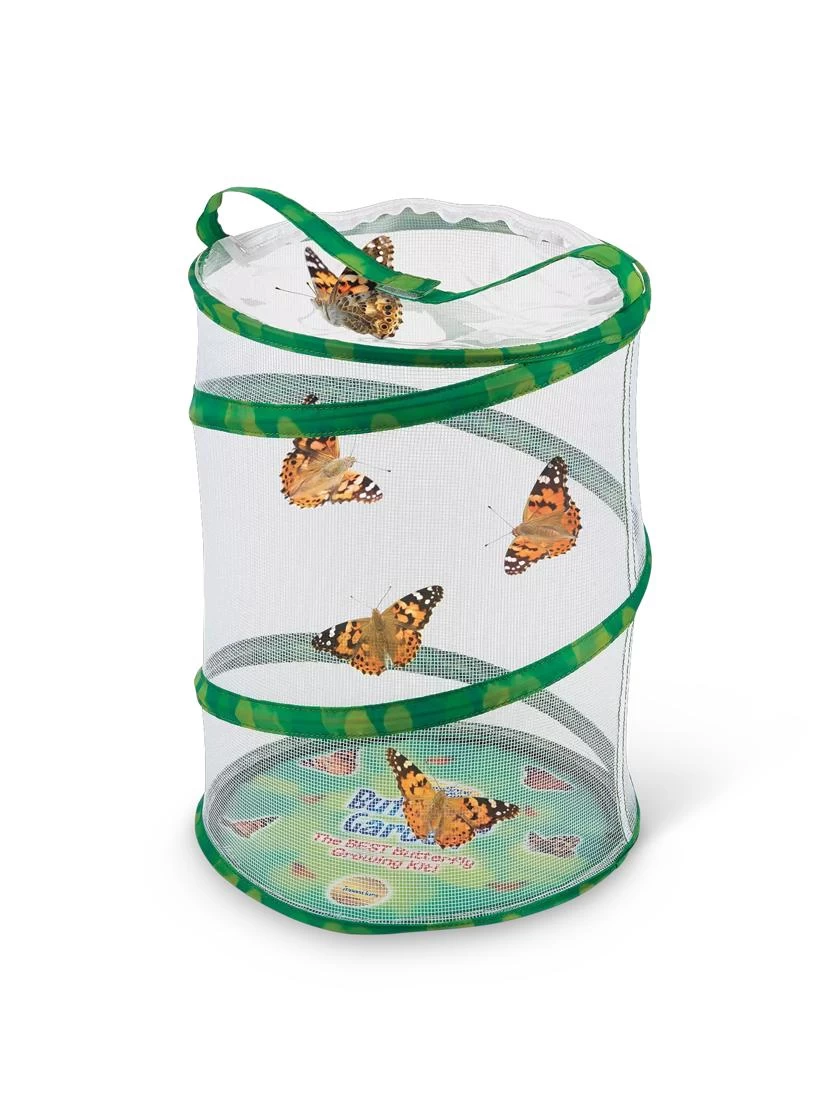 Butterfly Garden® Kit With Voucher 4 Butterfly Garden® Kit With Voucher - Image 2