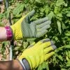 Garden Works Artisan™ Gloves -Outdoor Garden Care Shop 8609445 0364 tif
