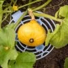 Melon And Squash Cradles, Set Of 6 2 Melon And Squash Cradles, Set Of 6 -Outdoor Garden Care Shop 8609464 0235 tif