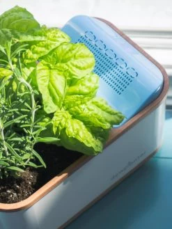 Dewplanter -Outdoor Garden Care Shop 8609512 04V