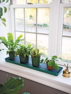 Self-Watering Windowsill Tray 9 Self-Watering Windowsill Tray -Outdoor Garden Care Shop 8609873 9011 tif