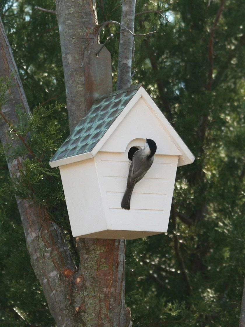 Classic Cottage Bird House With Verdigris Copper Roof 3 Classic Cottage Bird House With Verdigris Copper Roof