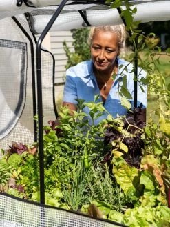 VegTrug®Patio Garden Greenhouse Cover Kit 13 VegTrug®Patio Garden Greenhouse Cover Kit -Outdoor Garden Care Shop 8610172 1256