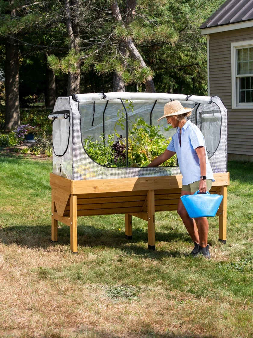 VegTrug®Patio Garden Greenhouse Cover Kit 4 VegTrug®Patio Garden Greenhouse Cover Kit - Image 2