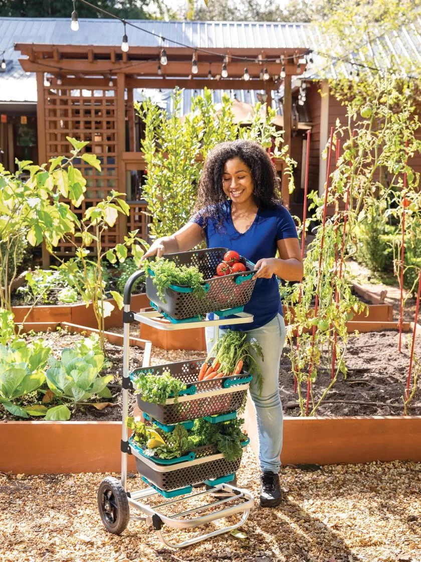 Mod Hod Trolley With Teal Mod Hods 3 Mod Hod Trolley With Teal Mod Hods