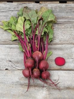 Family Garden Organic Seed Collection, Set Of 7 -Outdoor Garden Care Shop 8610262 Detroit Dark Red Beet 03V tif