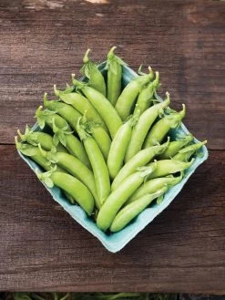 Family Garden Organic Seed Collection, Set Of 7 -Outdoor Garden Care Shop 8610262 cascadia peas 01V tif