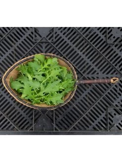 Silk Road Garden Organic Seed Collection, Set Of 6 -Outdoor Garden Care Shop 8610264 mizuna babyleaf 01v