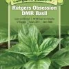 Rutgers Obsession Basil Organic Seeds