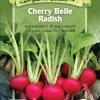Cherry Belle Radish Organic Seeds -Outdoor Garden Care Shop 8610352 01v cherry belle radish organic seeds highmowing