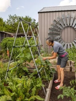 Connector Kit For DIY A Frame Plant Support -Outdoor Garden Care Shop 8610366 7584 tif