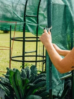 Maxi Garden Hoops With Clips 14 Maxi Garden Hoops With Clips -Outdoor Garden Care Shop 8610372 368 tif