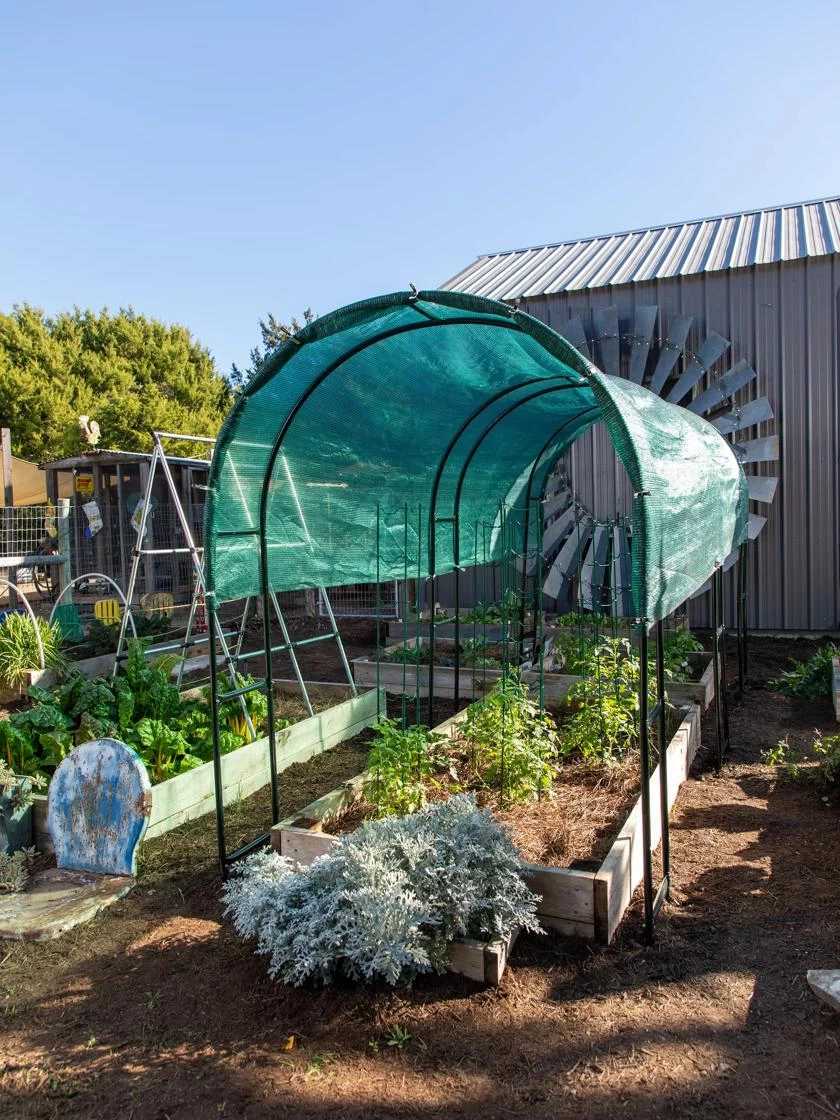 Maxi Garden Hoops With Clips 4 Maxi Garden Hoops With Clips - Image 2