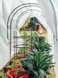 Maxi Garden Hoops With Clips 13 Maxi Garden Hoops With Clips -Outdoor Garden Care Shop 8610373 377 tif