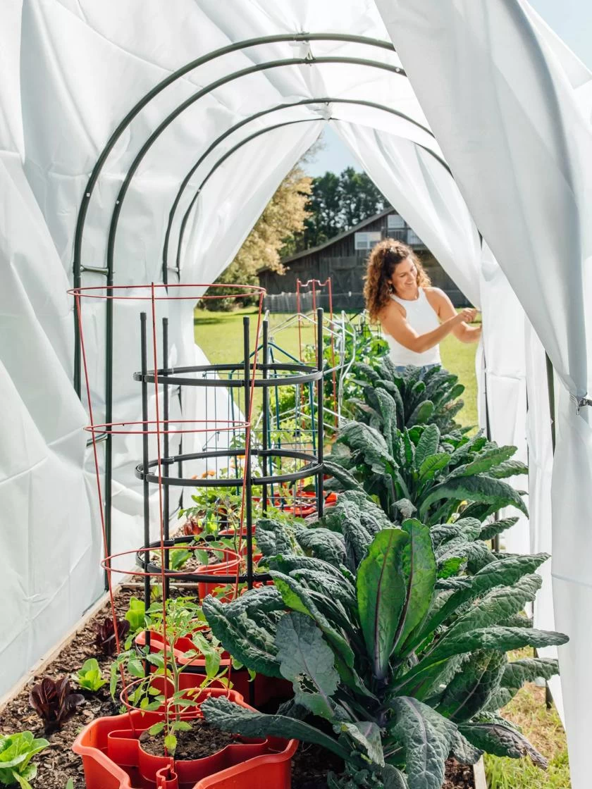 Maxi Garden Hoops With Clips 6 Maxi Garden Hoops With Clips - Image 4