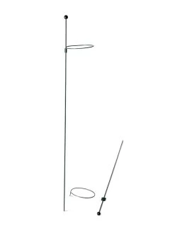 Peacock Mini Plant Support Rings 4", Set Of 2 -Outdoor Garden Care Shop 8610386 9566