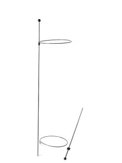 Peacock Mini Plant Support Rings 8", Set Of 2 15 Peacock Mini Plant Support Rings 8", Set Of 2 -Outdoor Garden Care Shop 8610388 9565 tif