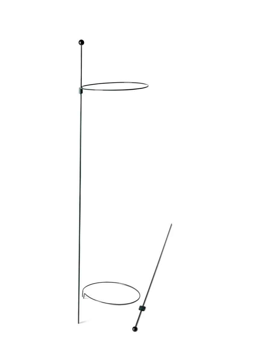 Peacock Mini Plant Support Rings 8", Set Of 2 9 Peacock Mini Plant Support Rings 8", Set Of 2 - Image 7