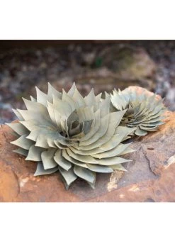 Desert Steel Spiral Aloe Sculpture 13 Desert Steel Spiral Aloe Sculpture -Outdoor Garden Care Shop 8610749 03v