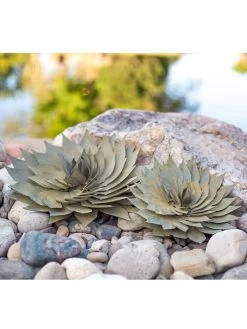 Desert Steel Spiral Aloe Sculpture 14 Desert Steel Spiral Aloe Sculpture -Outdoor Garden Care Shop 8610749 04v