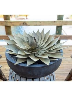Desert Steel Spiral Aloe Sculpture 16 Desert Steel Spiral Aloe Sculpture -Outdoor Garden Care Shop 8610750 02v