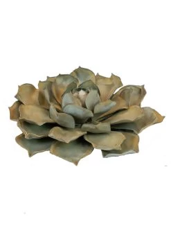 Desert Steel Blue Rose Succulent Sculpture 11 Desert Steel Blue Rose Succulent Sculpture -Outdoor Garden Care Shop 8610763 01v desert steel blue rose succulent small