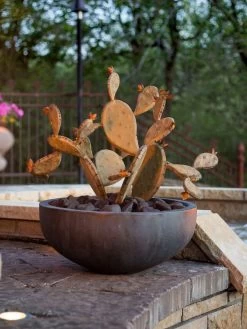 Desert Steel Prickly Pear Cactus Sculpture, Redondo -Outdoor Garden Care Shop 8610768 03v