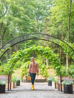 2’ X 8’ Arch Trellis For Planter Boxes -Outdoor Garden Care Shop 8610798 071 tif