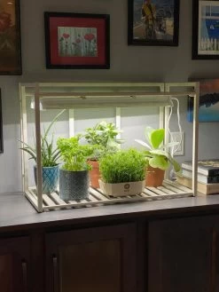 Oslo 1-Tier LED Grow Light Garden -Outdoor Garden Care Shop 8611002 01IN tif