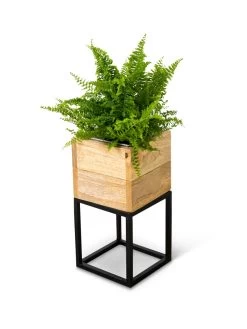 Tartu Elevated Square Planters -Outdoor Garden Care Shop 8611004 038