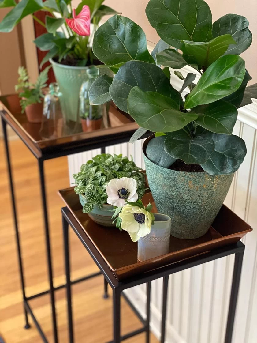 Square Nesting Plant Stands With Trays, Set Of 2 5 Square Nesting Plant Stands With Trays, Set Of 2 - Image 3