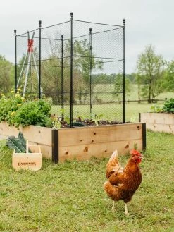 Tall Chicken Wire Critter Fence With Gate -Outdoor Garden Care Shop 8611020 316 tif