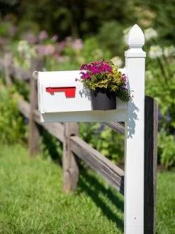 Mailbox Planter 8 Mailbox Planter -Outdoor Garden Care Shop 8611026 014 tif