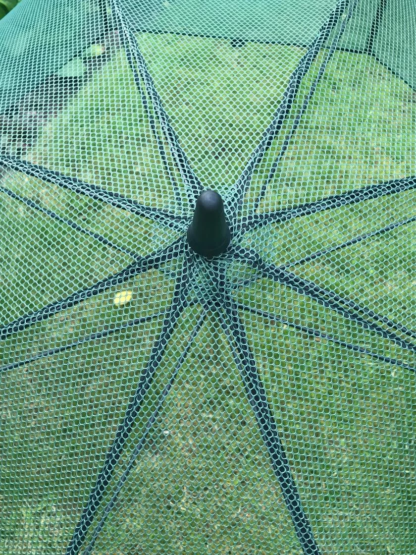 GardenSkill Pop N Crop Plant Umbrella 7 GardenSkill Pop N Crop Plant Umbrella - Image 5