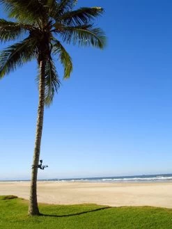 MAXSA® Solar-Powered LED Flag Light 9 MAXSA® Solar-Powered LED Flag Light -Outdoor Garden Care Shop 8611318 02v