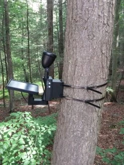 MAXSA® Solar-Powered LED Flag Light 11 MAXSA® Solar-Powered LED Flag Light -Outdoor Garden Care Shop 8611318 03v