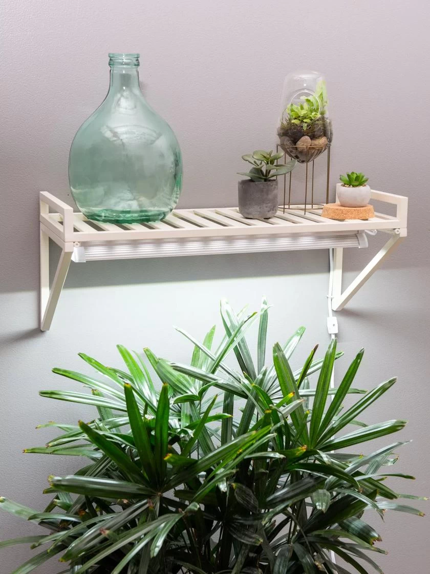 Oslo LED Grow Light Wall Shelf 3 Oslo LED Grow Light Wall Shelf