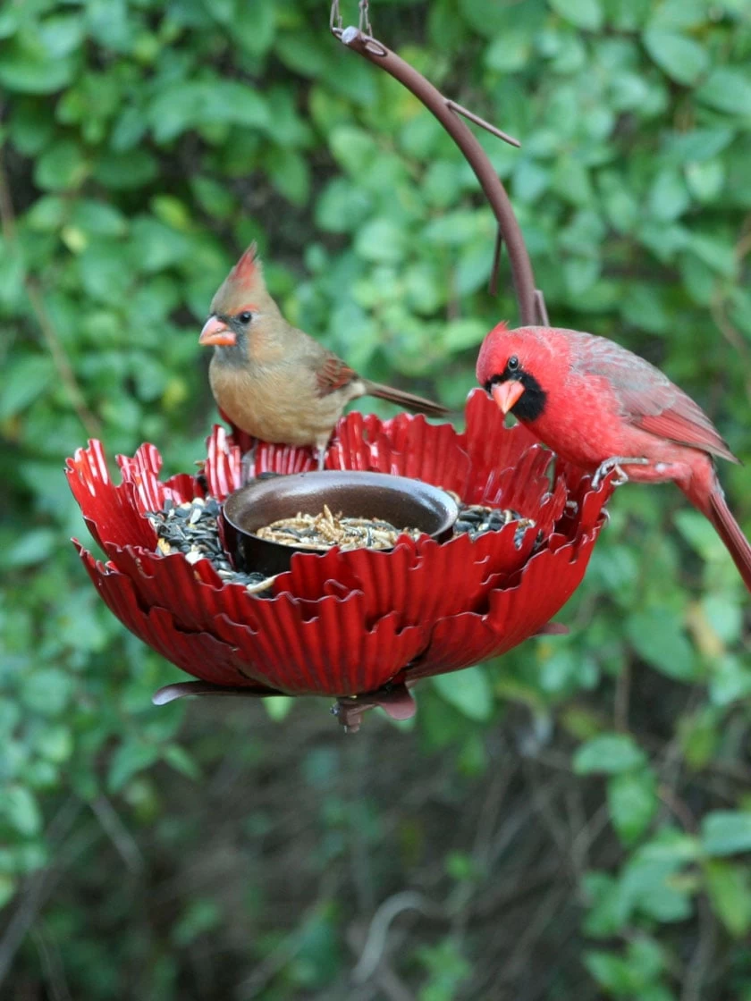 Desert Steel Sunset Peony Bird Feeder 3 Desert Steel Sunset Peony Bird Feeder