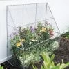 Chicken Wire Flat Back Crop Coop 1 Chicken Wire Flat Back Crop Coop -Outdoor Garden Care Shop 8611701 142 tif
