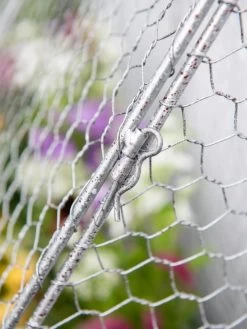 Chicken Wire Flat Back Crop Coop 11 Chicken Wire Flat Back Crop Coop -Outdoor Garden Care Shop 8611701 167 tif