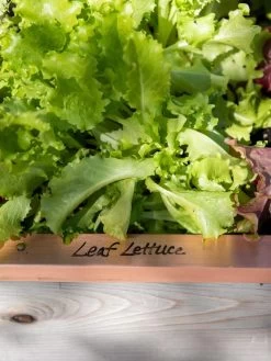 Re-Markable Raised Bed Trim -Outdoor Garden Care Shop 8611757 326 tif