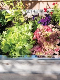 Re-Markable Raised Bed Trim -Outdoor Garden Care Shop 8611758 306 tif