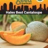Hales Best Cantaloupe Organic Seeds 1 Hales Best Cantaloupe Organic Seeds -Outdoor Garden Care Shop 8611872 02v hales best cantaloupe organic seeds