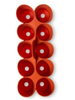 Sili-Seedlings® Seedling Tray, 10-Cell -Outdoor Garden Care Shop 8611886 3821 tif