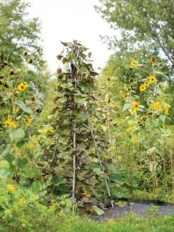 DIY Connector For Teepee Trellis -Outdoor Garden Care Shop 8611896 062 tif