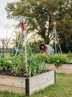 DIY Connector For Teepee Trellis -Outdoor Garden Care Shop 8611896 38 tif